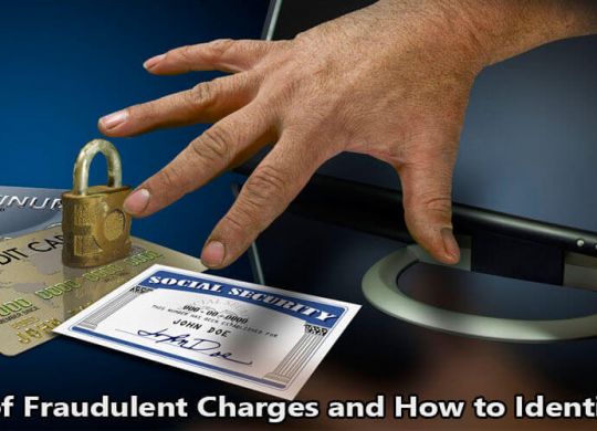 Causes_of_Fraudulent_Charges