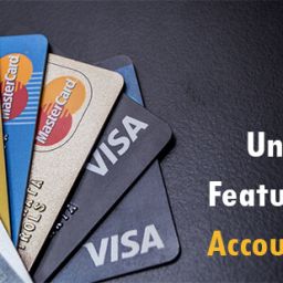 Unlocking the Features of Visa Account Updater