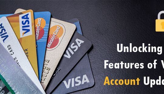 Unlocking the Features of Visa Account Updater