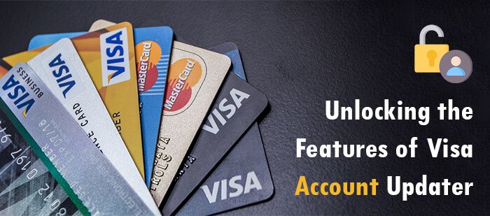 Unlocking the Features of Visa Account Updater